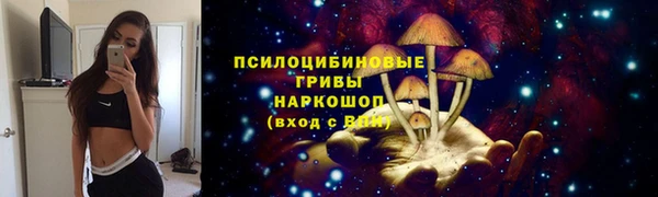 каннабис Дмитров