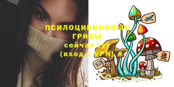 мескалин Дмитриев