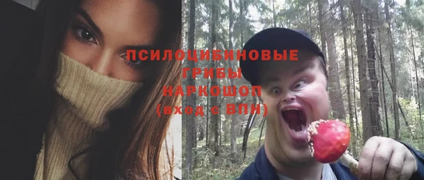 дмт Дмитровск