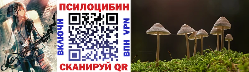 Псилоцибиновые грибы MAGIC MUSHROOMS  Купить  Котовск 